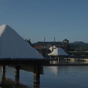EM DIRETO DE RIO MAIOR EM DIRETO DE RIO MAIOR