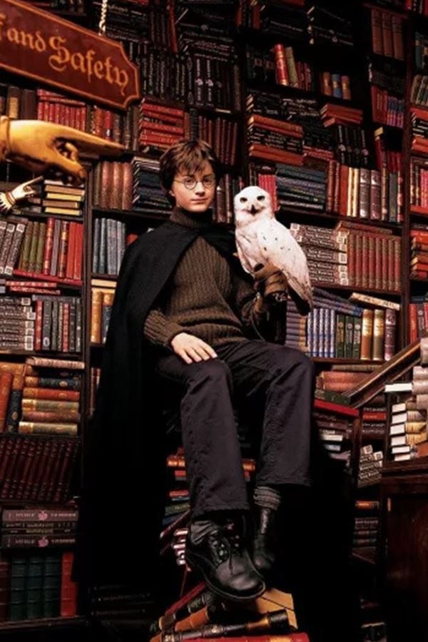 Harry Potter afinal não tem "pronúncia do norte"! Harry Potter afinal não tem "pronúncia do norte"!