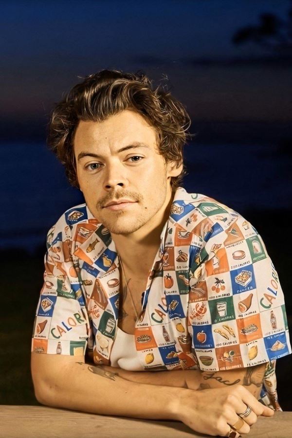 E se Harry Styles te batesse à porta? E se Harry Styles te batesse à porta?