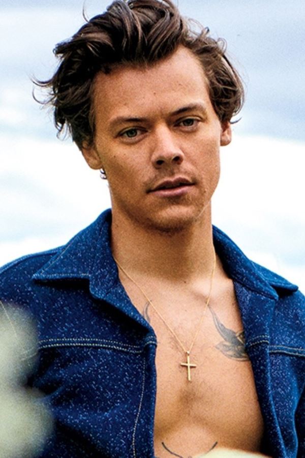 Harry Styles lança (novamente) a dúvida... Harry Styles lança (novamente) a dúvida...