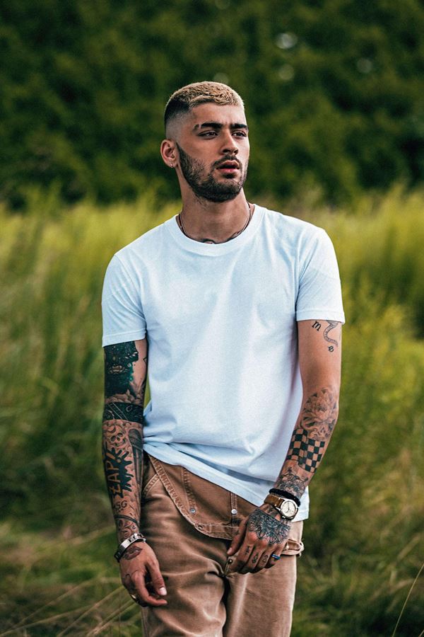 Carreira de Zayn em crise? Carreira de Zayn em crise?