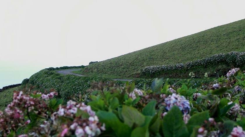 Ilha do Corvo a uma dose de atingir a imunidade de grupo