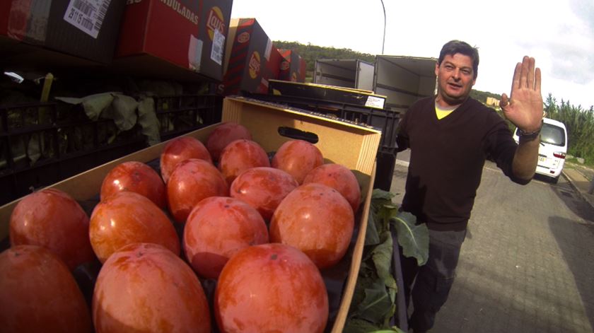 Banco Alimentar. Eu recolho, tu transportas, eles recebem