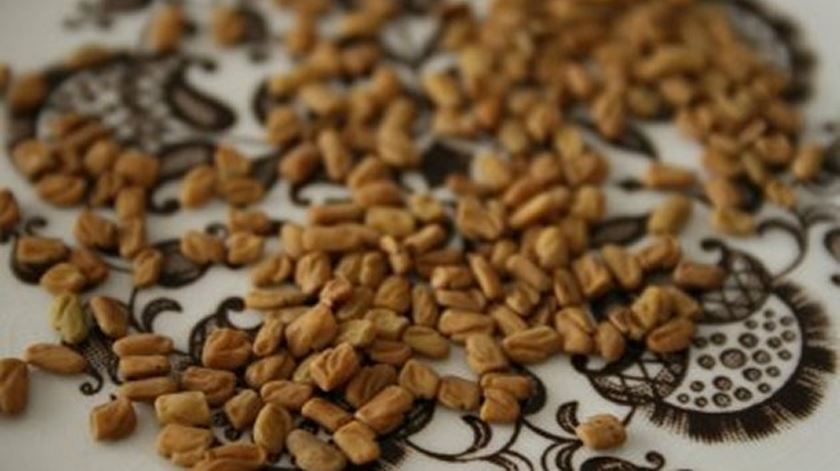 Recebeu sementes de países asiáticos no correio? Não plante nem deite no lixo