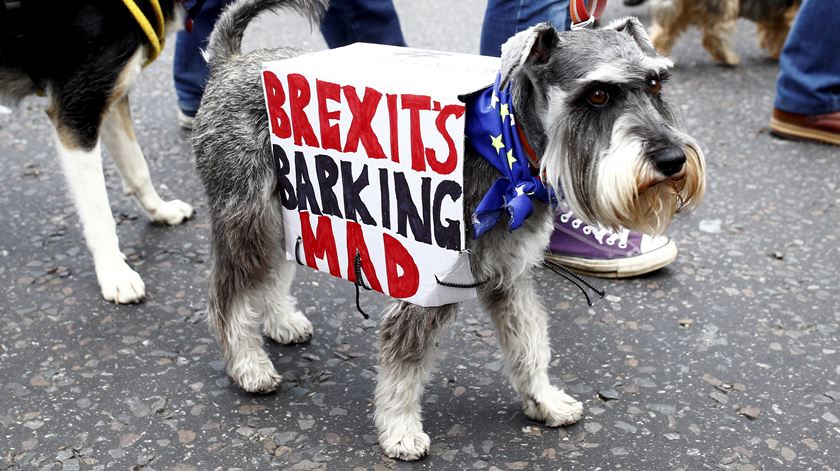 Mil cães ladram pelo fim do Brexit