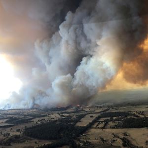 Portugal Chama-o: cuide da floresta, proteja o que é seu e quem ama