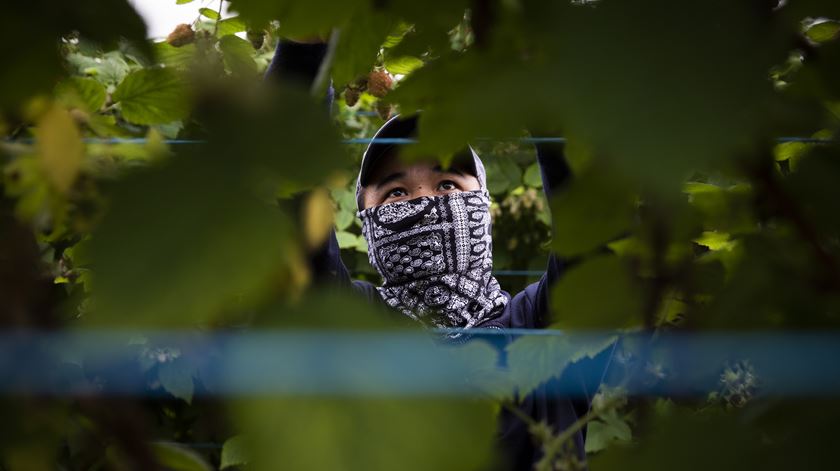 Imigração em Odemira. "Ninguém estava preparado"