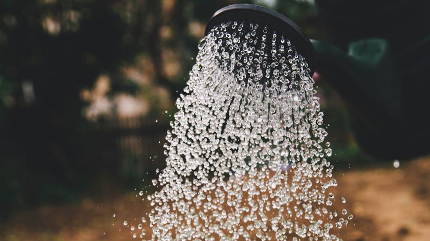 Especialista acredita que falta de água não irá afetar abastecimento público no Alentejo