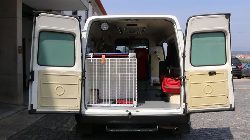 Cães e gatos têm uma ambulância exclusiva em Fão