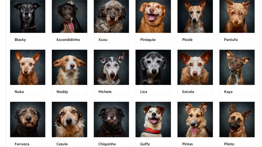 ASTRESDAMANHA BEMYFRIEND