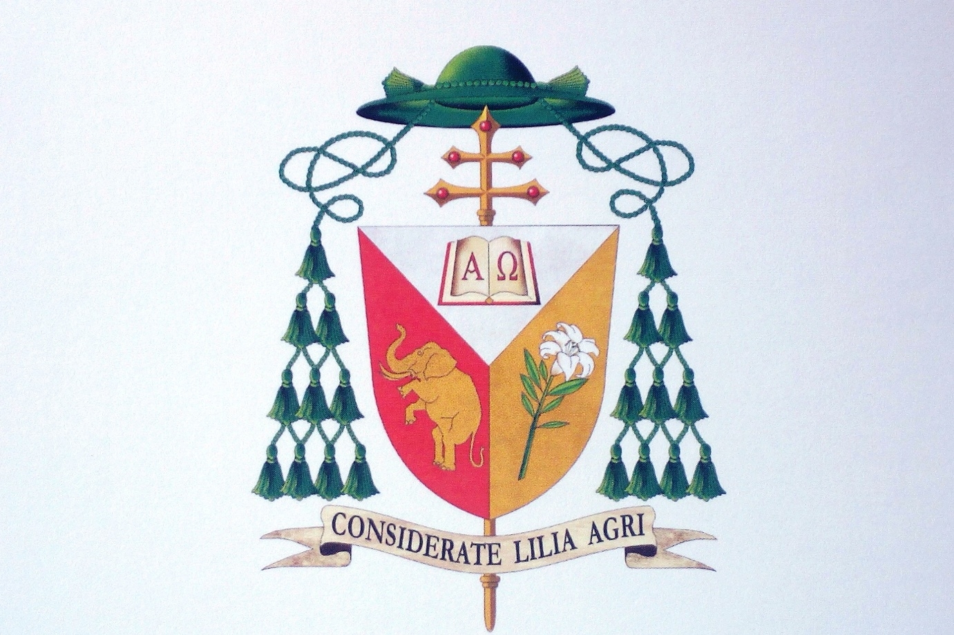 «Olhai os lírios do campo».Saiba o que significa o brasão episcopal de D. José Tolentino «Olhai os lírios do campo».Saiba o que significa o brasão episcopal de D. José Tolentino