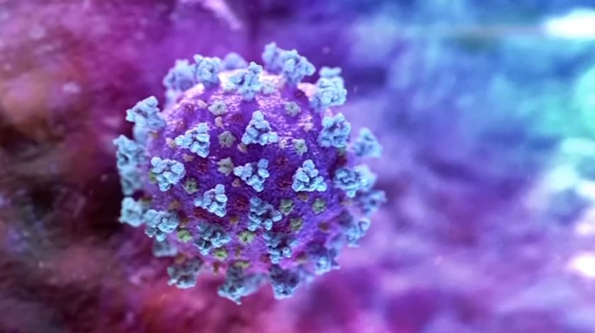 Covid-19. A nova variante que está a preocupar a Europa