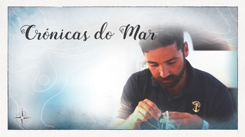 Crónicas do Mar V - Filho de peixe