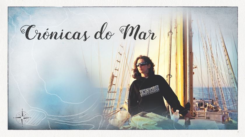 Crónicas do Mar VII - Remédio Santo