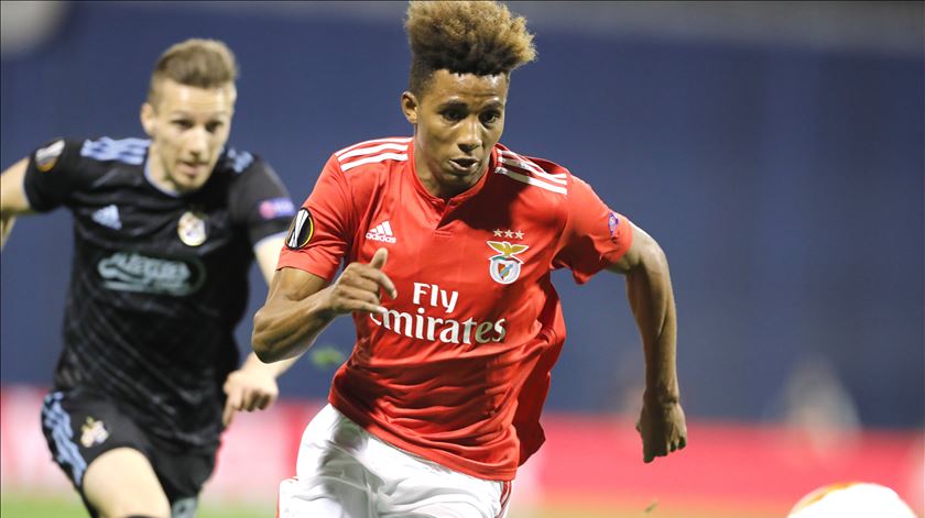 Gedson Fernandes Convocado Para A Deslocacao Ao Moreirense Renascenca