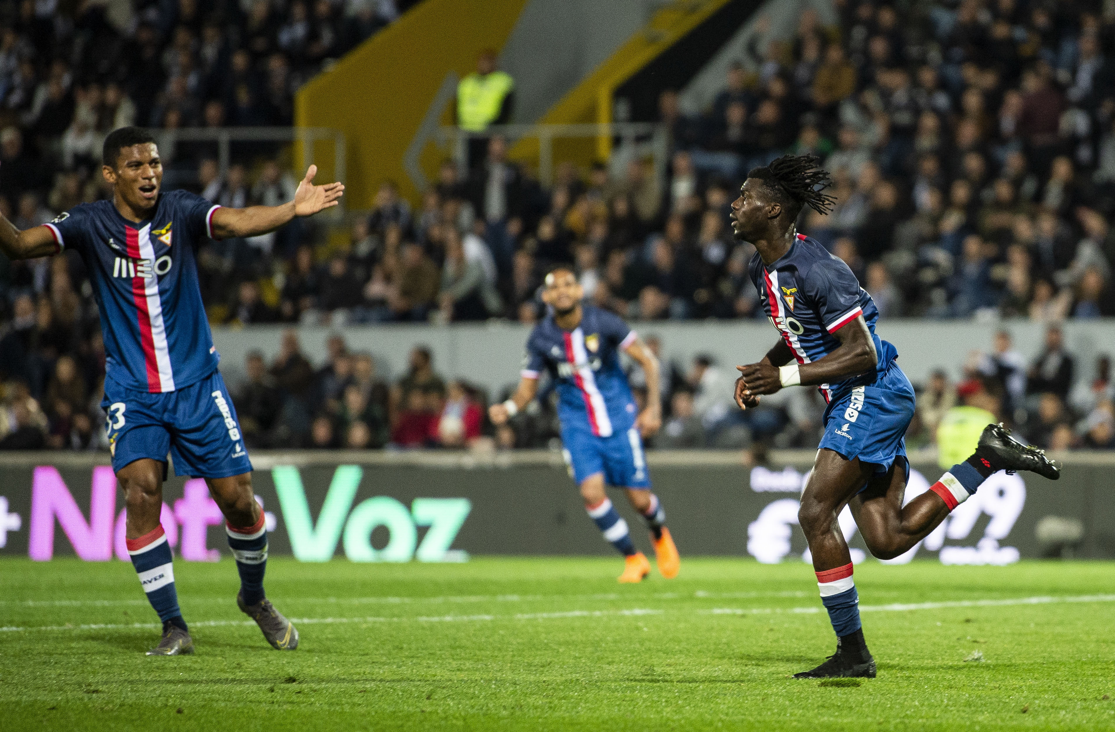 à¸à¸¥à¸à¸²à¸£à¸à¹à¸à¸«à¸²à¸£à¸¹à¸à¸ าà¸à¸ªà¸³à¸«à¸£à¸±à¸ Derley aves