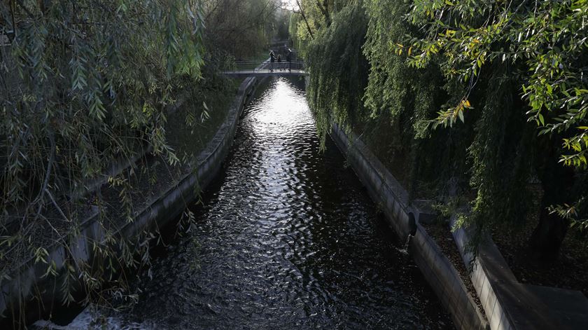 Pandemia da Covid-19 deve ser "um alerta para respeitar a Casa Comum"