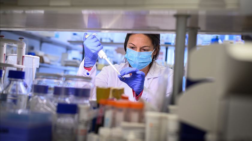 Diretora do ECDC prevê segunda vaga de Covid-19 na Europa