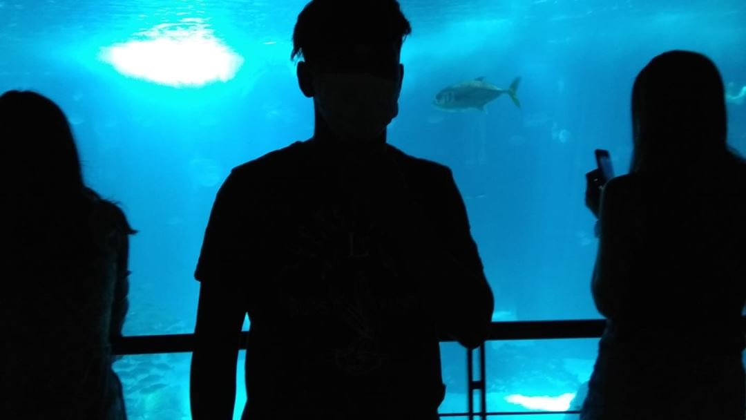 Refugiados menores durante uma visita ao Oceanário de Lisboa. Foto: DR