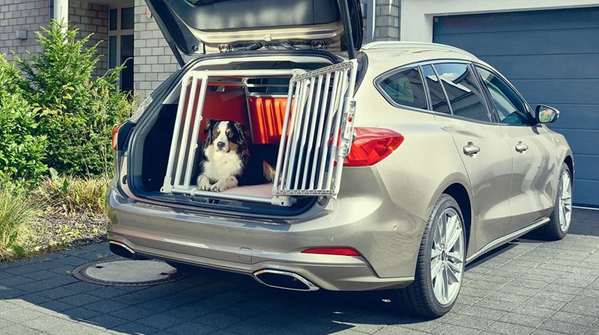 ​O dono de um cão mudou a bagageira de um carro a pensar no melhor amigo do homem