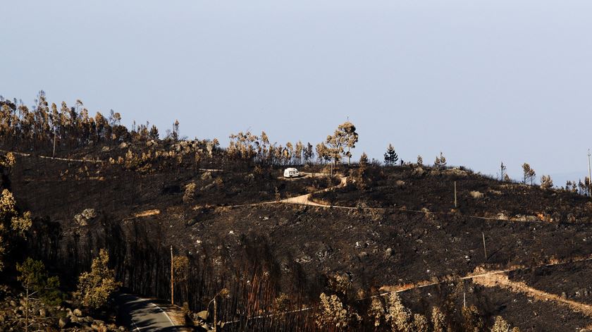 Não se perderam vidas, mas a vida perdeu-se
    