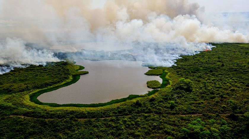 Brasil. Fogos no Pantanal já destruíram mais de 1,55 milhões de hectares