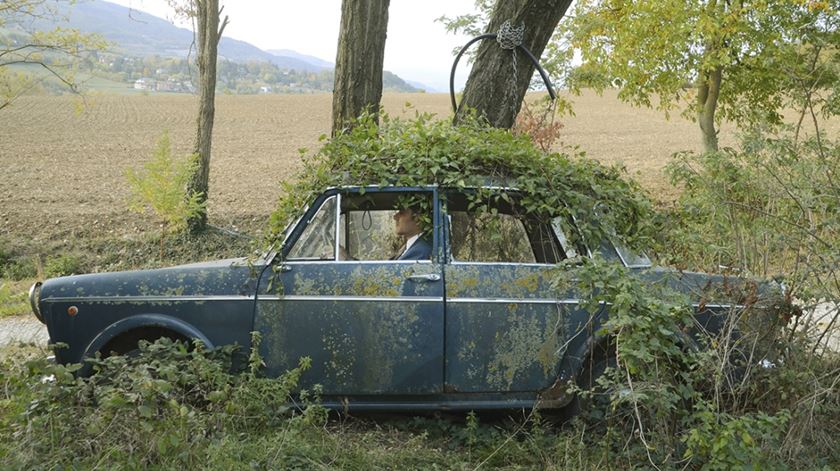 Obra de Supernatura, de Annamaria Belloni, na Galeria do Paço. Foto: UMinho