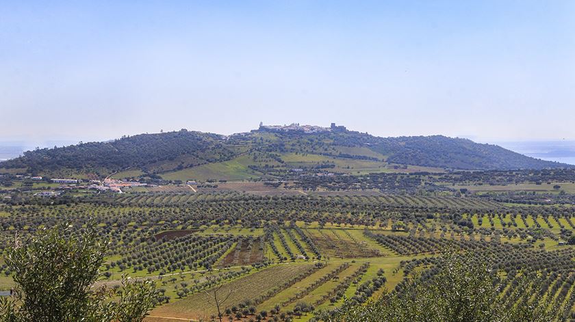 Foto: CM Reguengos de Monsaraz