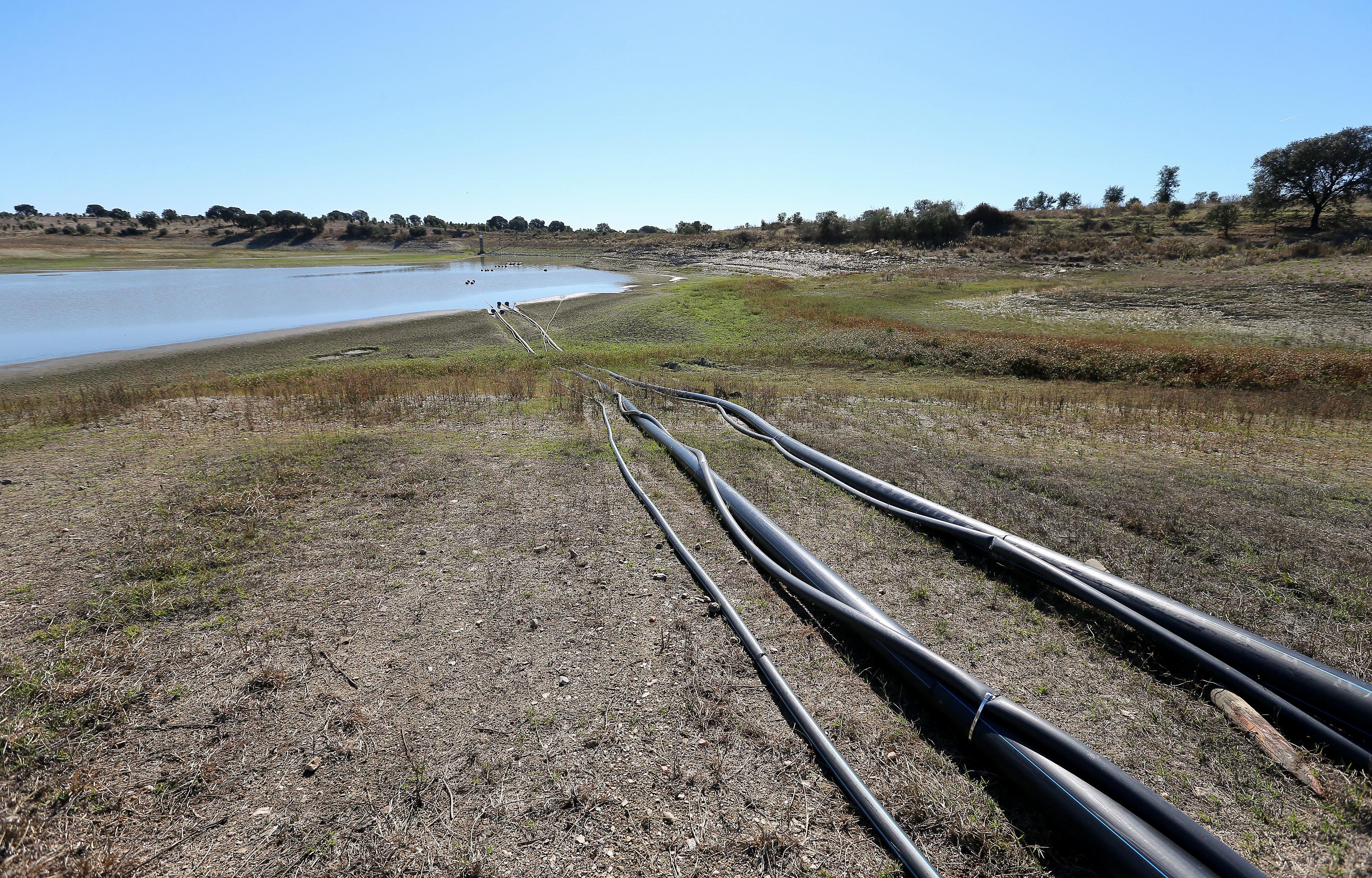 seca_alentejo_barragem_alter_do_chao_61117_foto_nuno_veiga1386df55.jpg