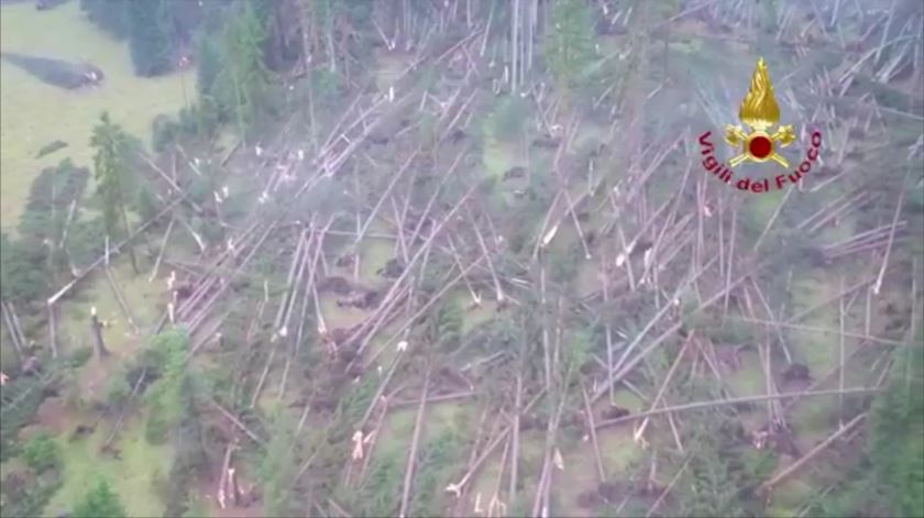 Itália. Ventos fortes derrubaram centenas de ávores