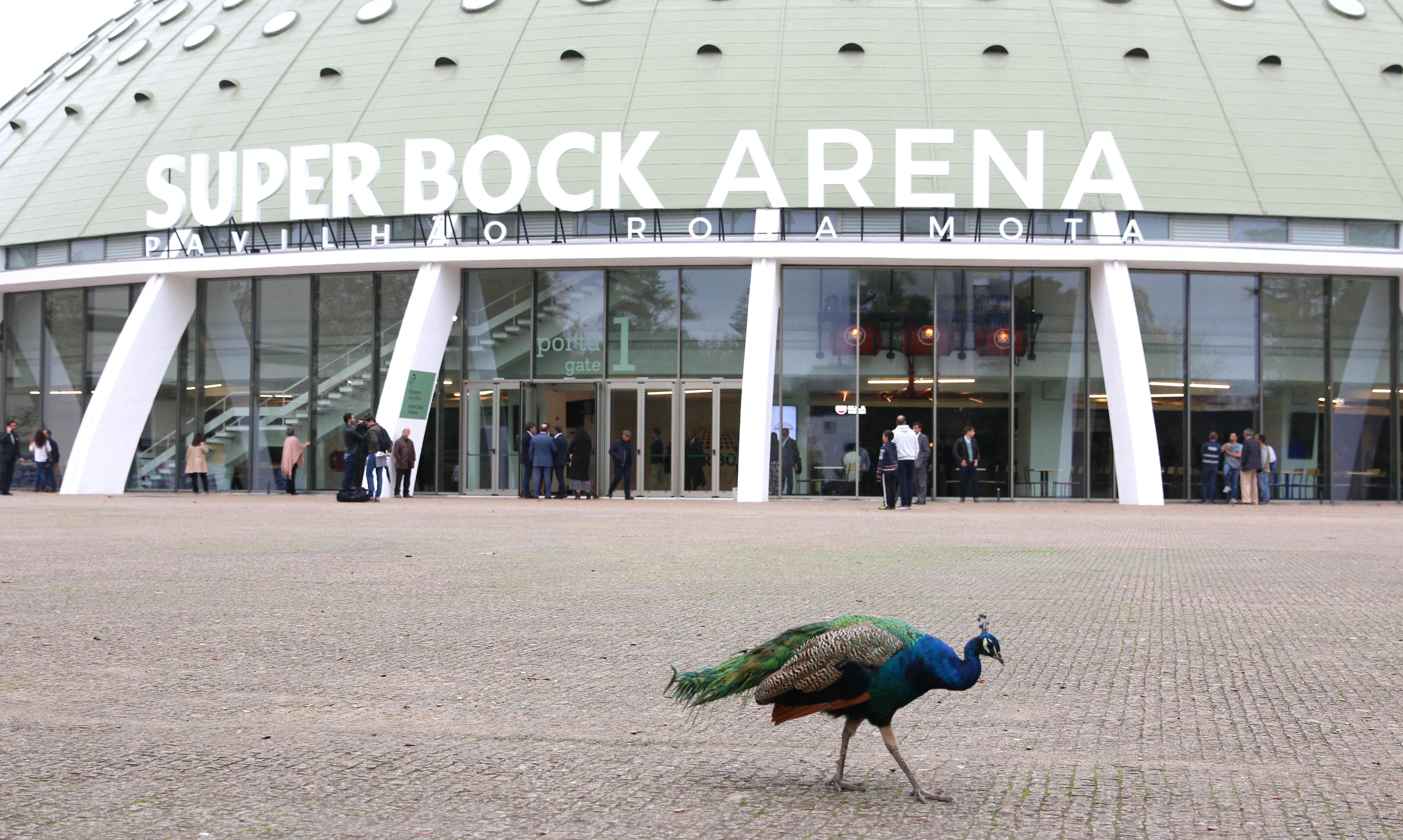 Proposta da Super Bock para Pavilhão Rosa Mota não tinha o ...