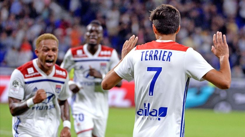 terrier olympique lyon foto twitter olympique lyon