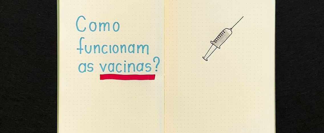 Como funcionam as vacinas e como nos protegem do novo coronavírus?
