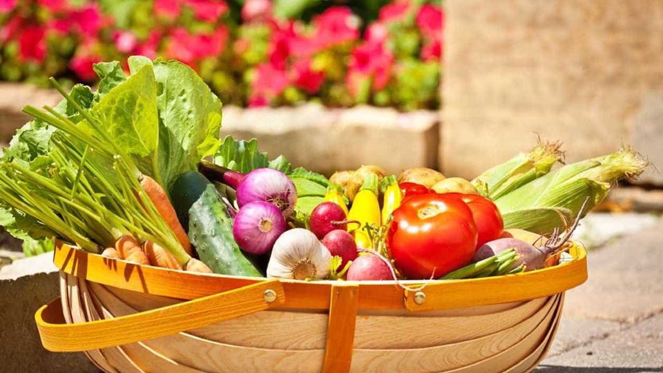 Alimentos que te podem salvar ...