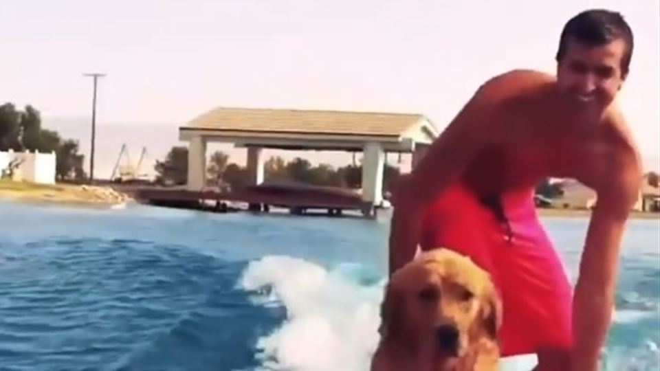 Os BFF dedicaram uma música ao...