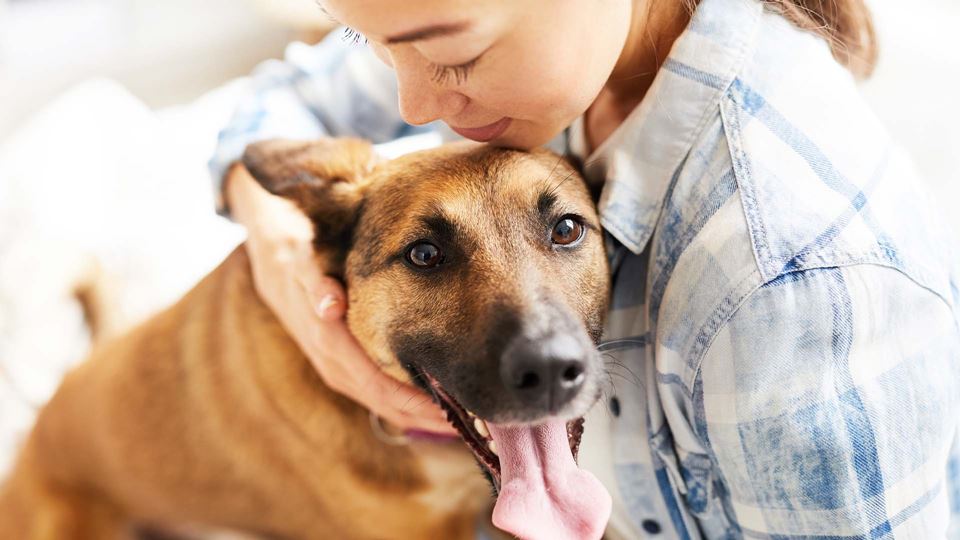 Portugueses estão a adotar mai...