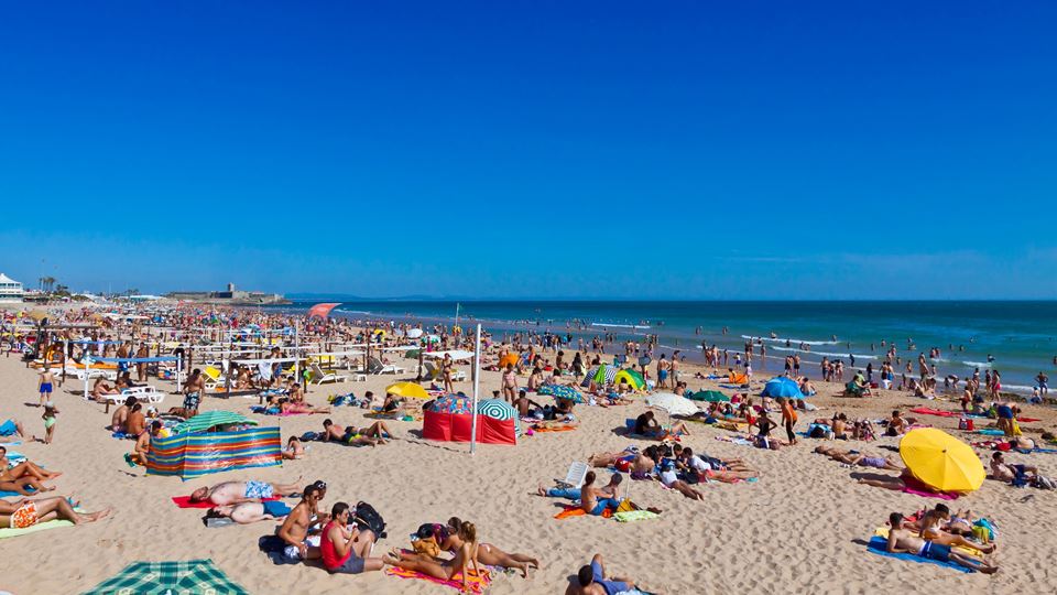 Fica a saber quantas pessoas p...