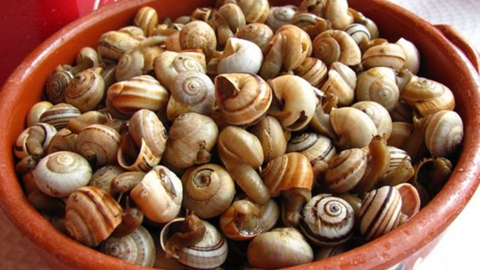 Comidas portuguesas que os est...