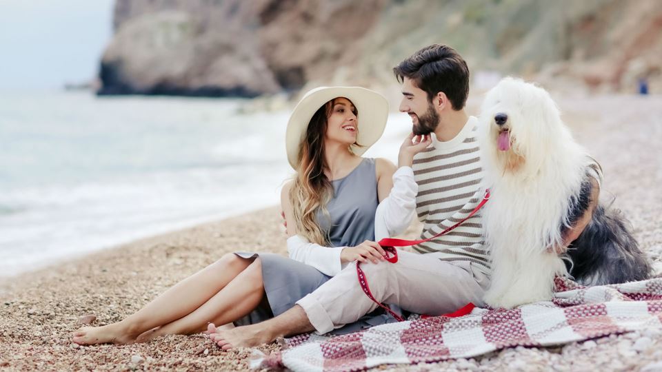 Já podes levar o teu cão à praia!
