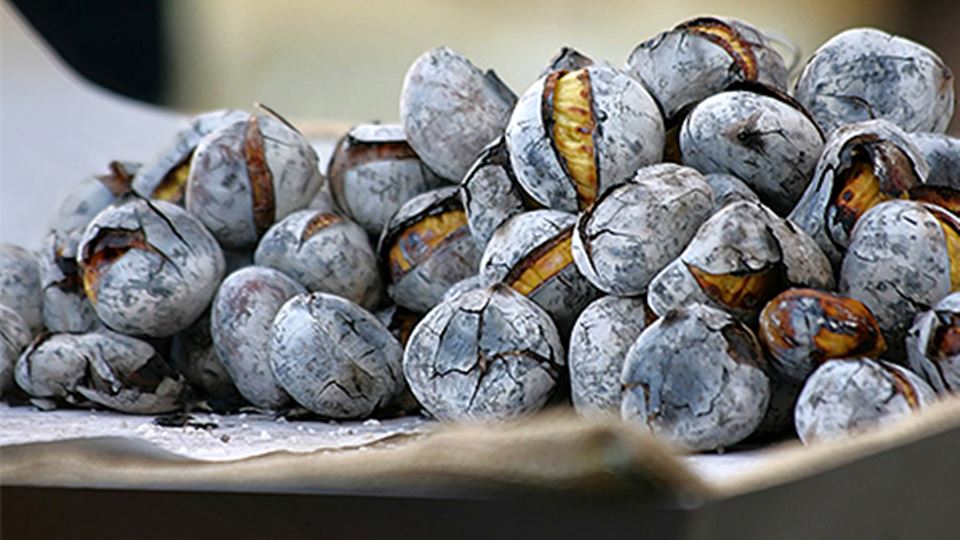 Está aberta a época oficial da...