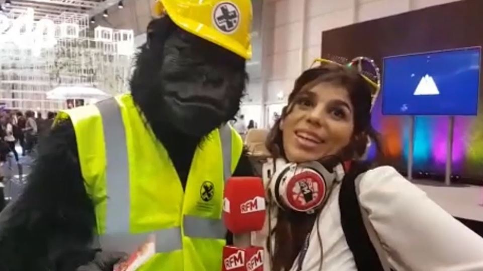 A Catarina foi à procura de in... A Catarina foi à procura de in...