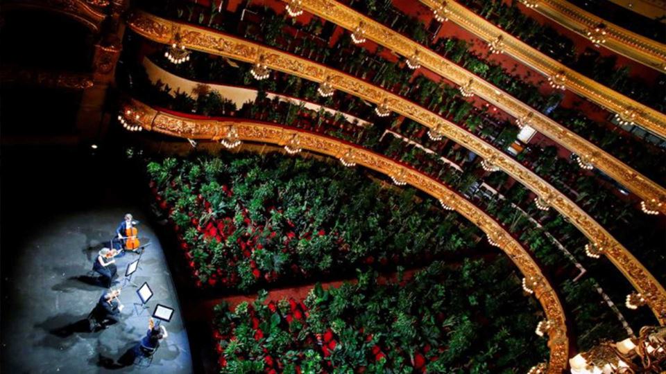 Concerto com plantas na platei...