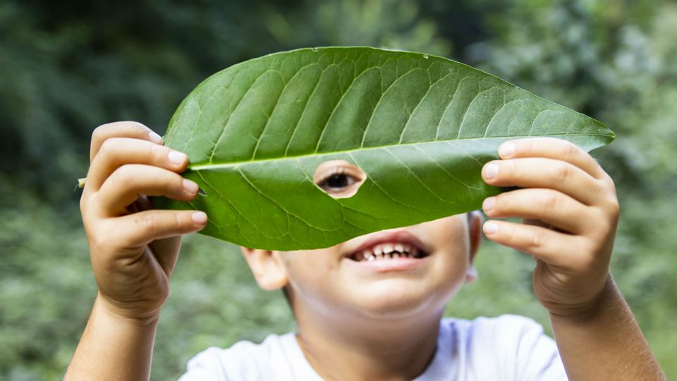 Criança com uma folha