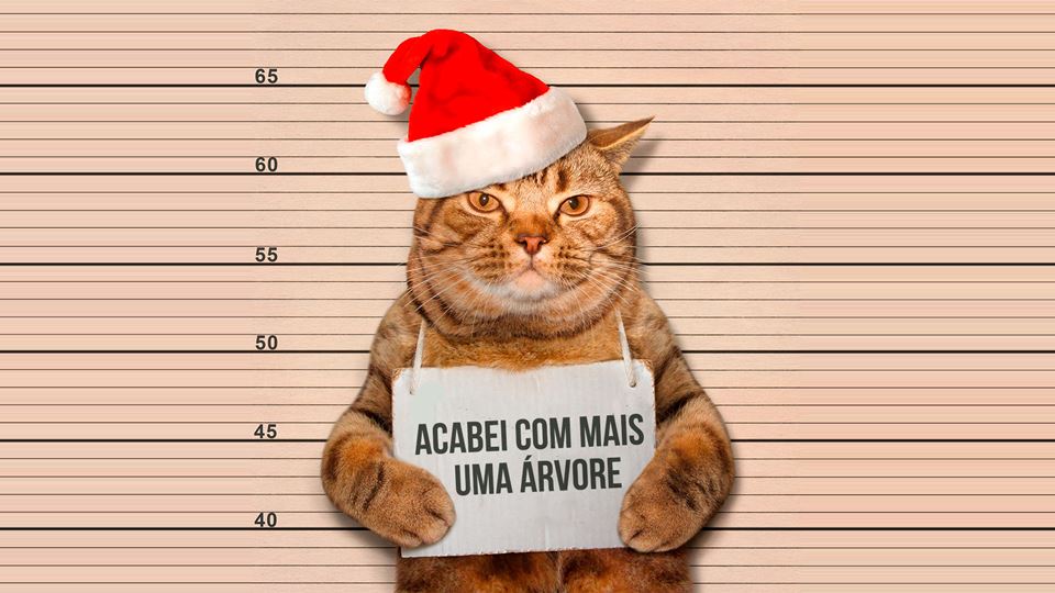 Gatos VS Natal. Uma guerra ond...