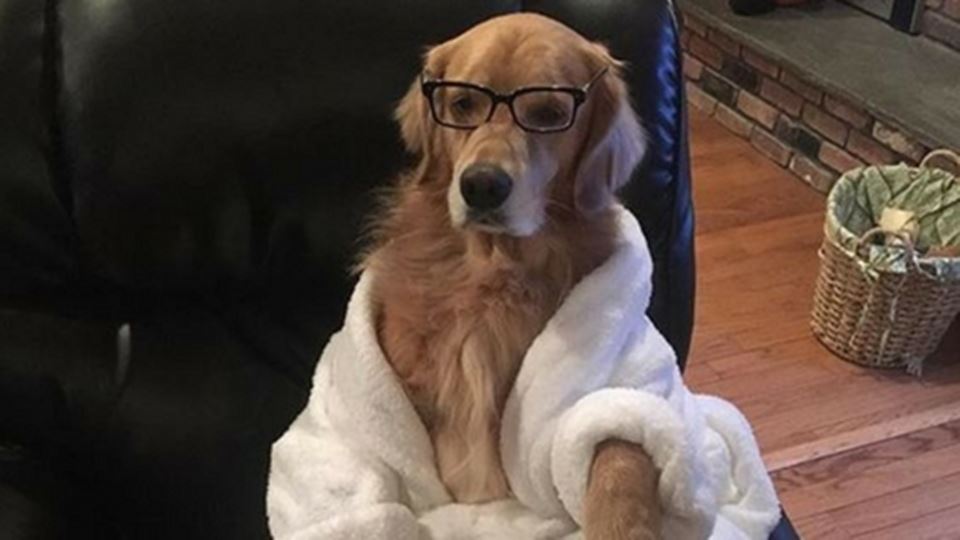 Combate o dia mais triste do a...