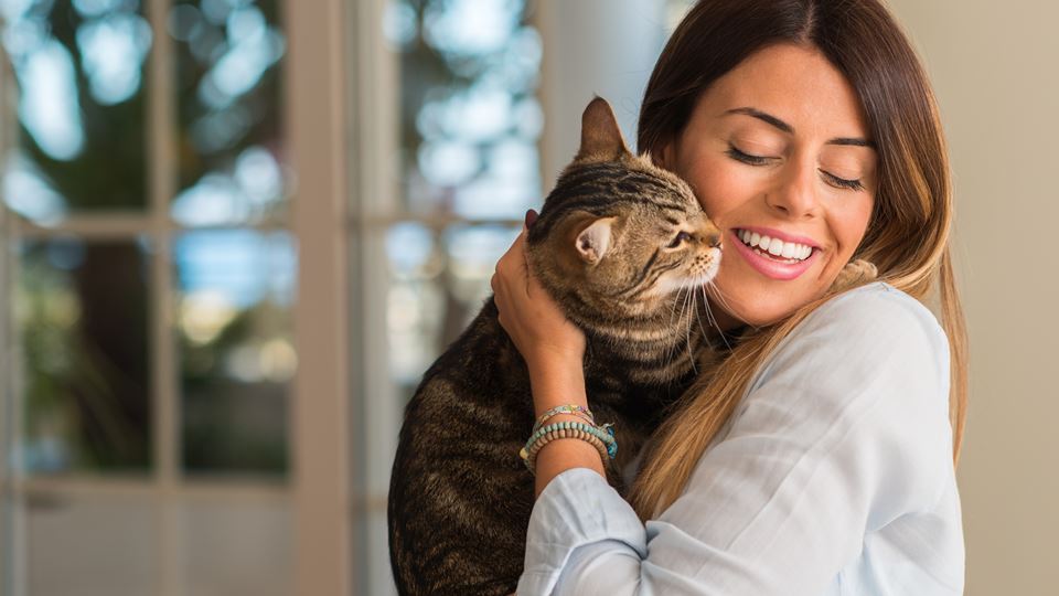 Depois da pandemia, donos dize...