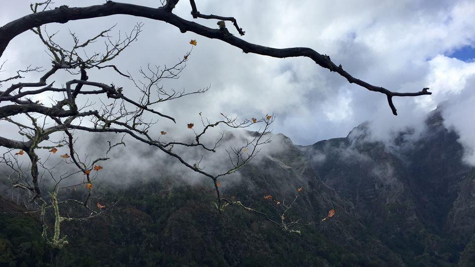 Porque é que se chama Hallowee...