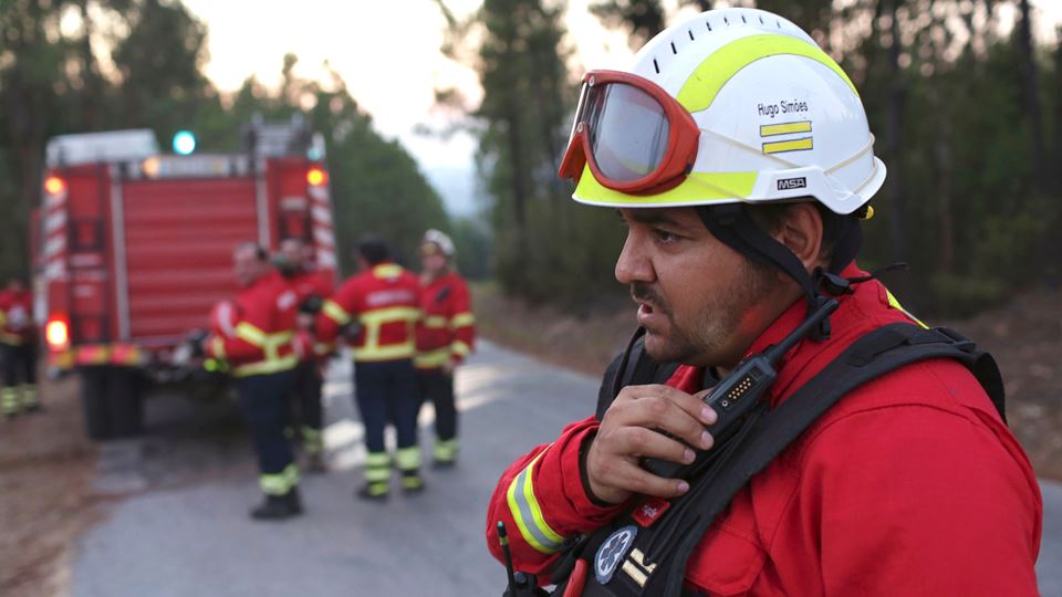 A palavra do ano é... Incêndios