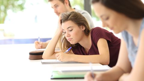 Os preguiçosos são mais criati...