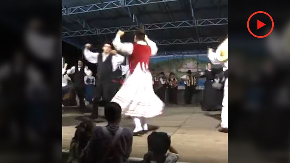 E se o Google tradutor cantasse?